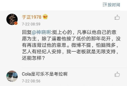 娱乐圈吃瓜的句子,幕后真相与明星隐私曝光