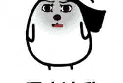 美女动态视频,美女动态视频惊艳呈现