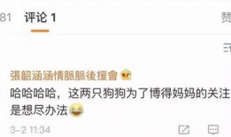 娱乐圈王校长带你吃瓜,王校长带你领略娱乐圈的瓜田盛宴