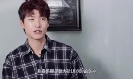 娱乐圈补课吃瓜,揭秘明星背后的努力与争议