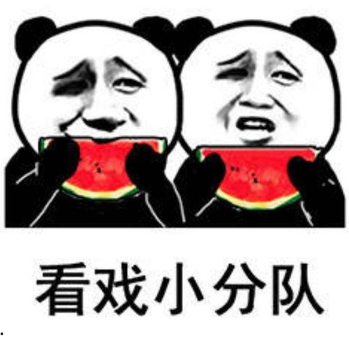 吃瓜表情啥意思